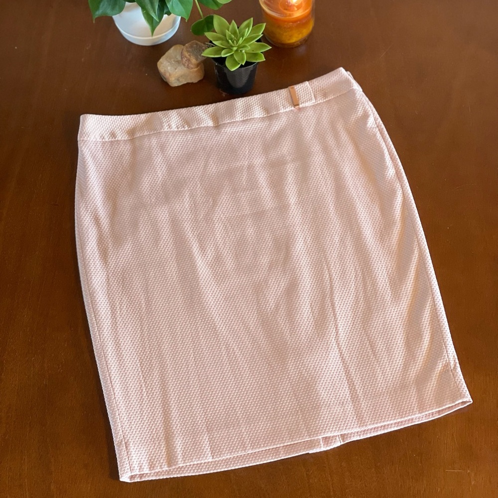 The Limited Blush Pink Pencil Skirt